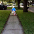 Sonic coming