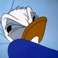 Donald