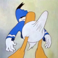 Donald 2