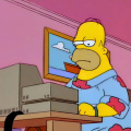Homer gordo