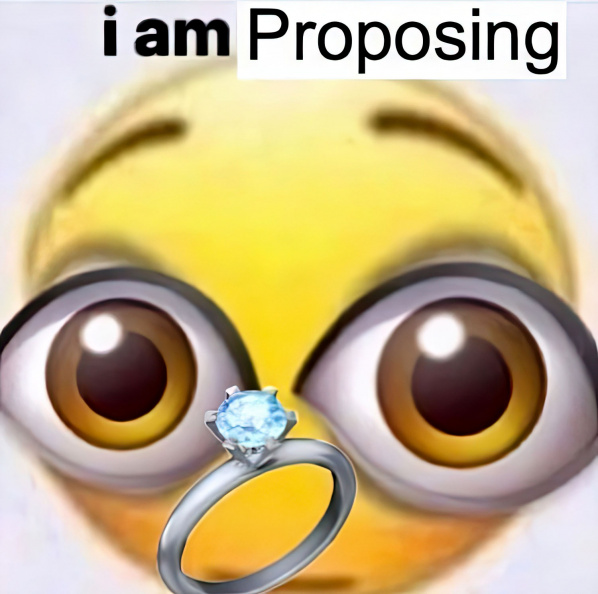 i am proposing.jpg