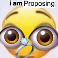 i am proposing