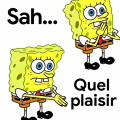 Sah quel plaisir 1