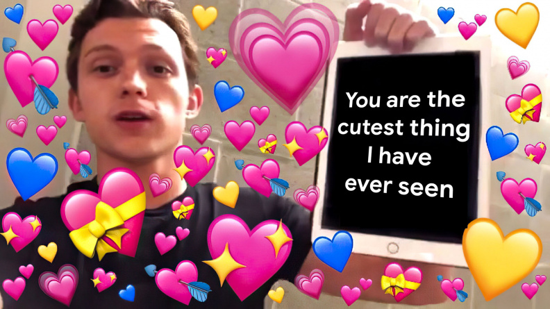 You are the cutest thing.jpg