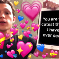 You are the cutest thing