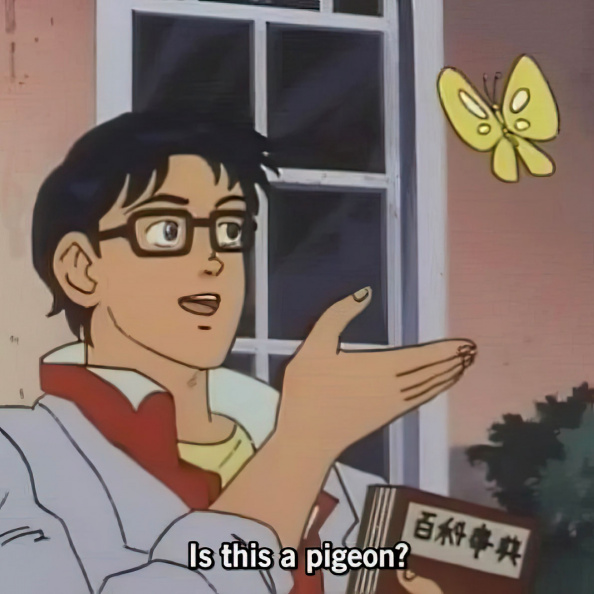Is this a pigeon.jpg