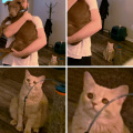 It hurts in my meow meow