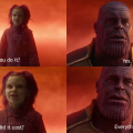 What did it cost