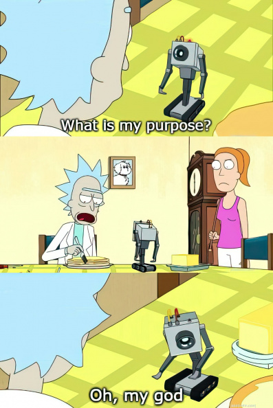 What is my purpose.jpg