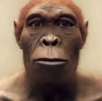 allo selem bassem singe