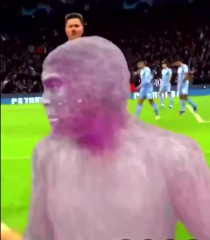singe célébration football