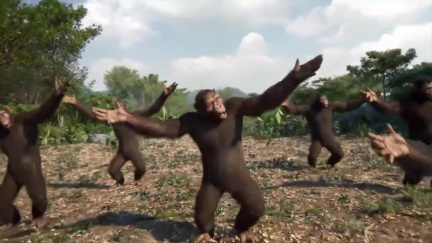 singe danse musique