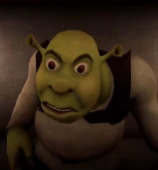 shrek choque