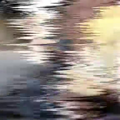 montage edit jojo