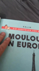 tintin les aventures de mouloud