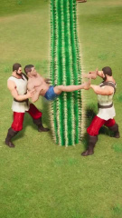 pub fake torture couille cactus