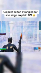 buildfight fortnite probleme singe animal de compagnie