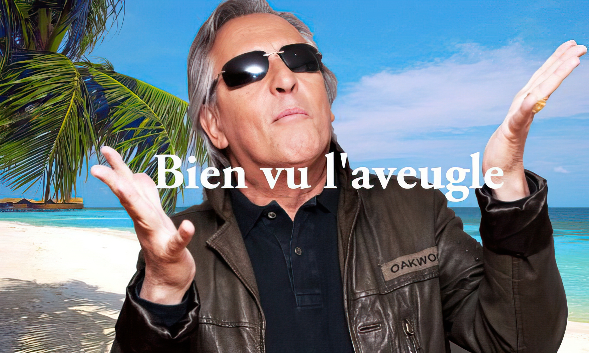 Bien vu l'aveugle