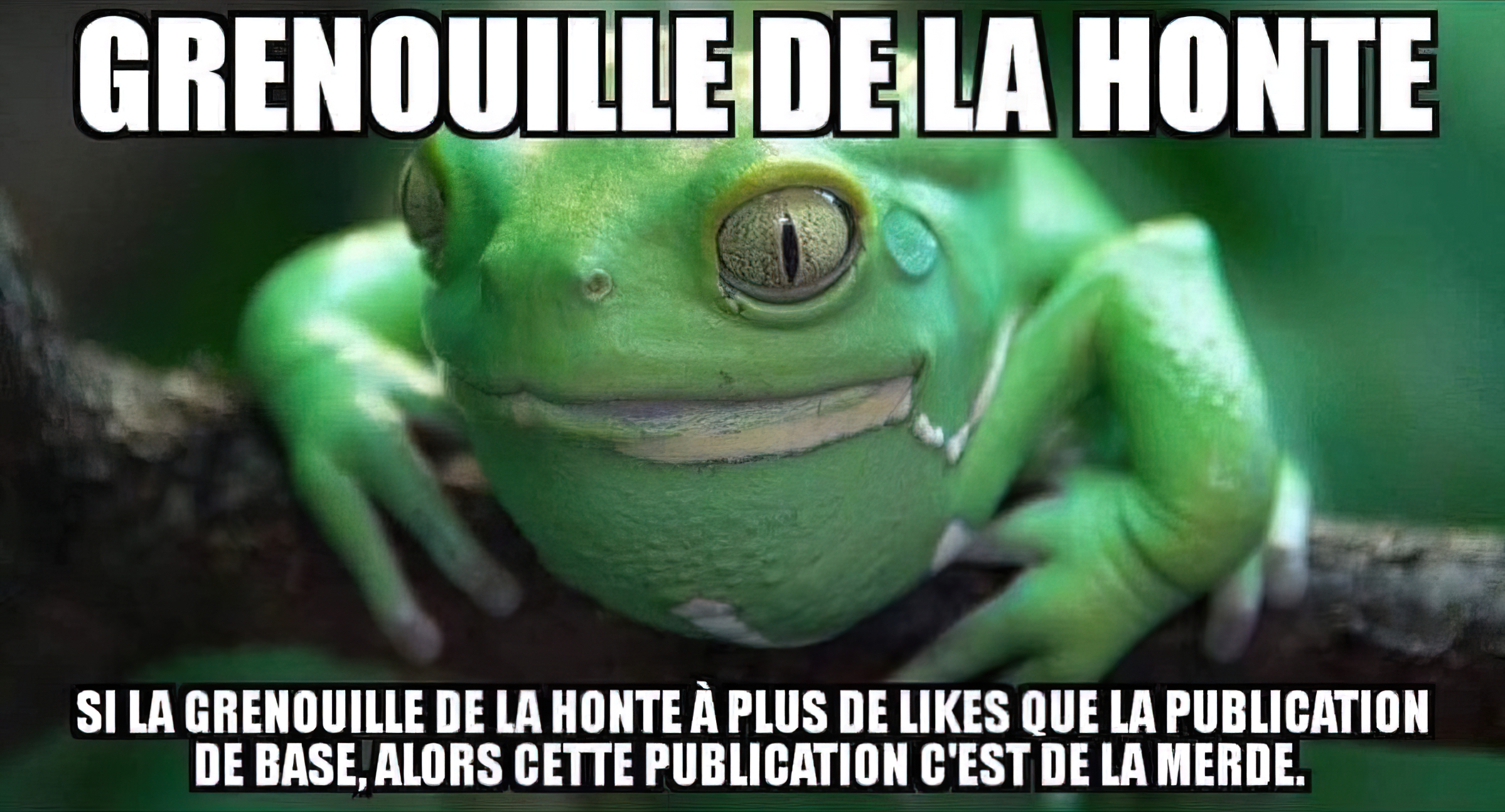 Grenouille de la honte