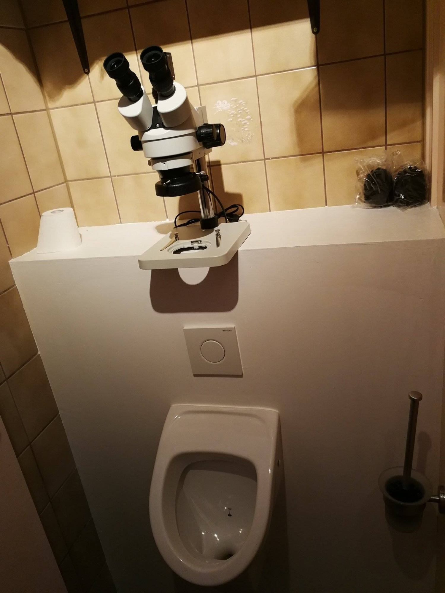 Micropénis