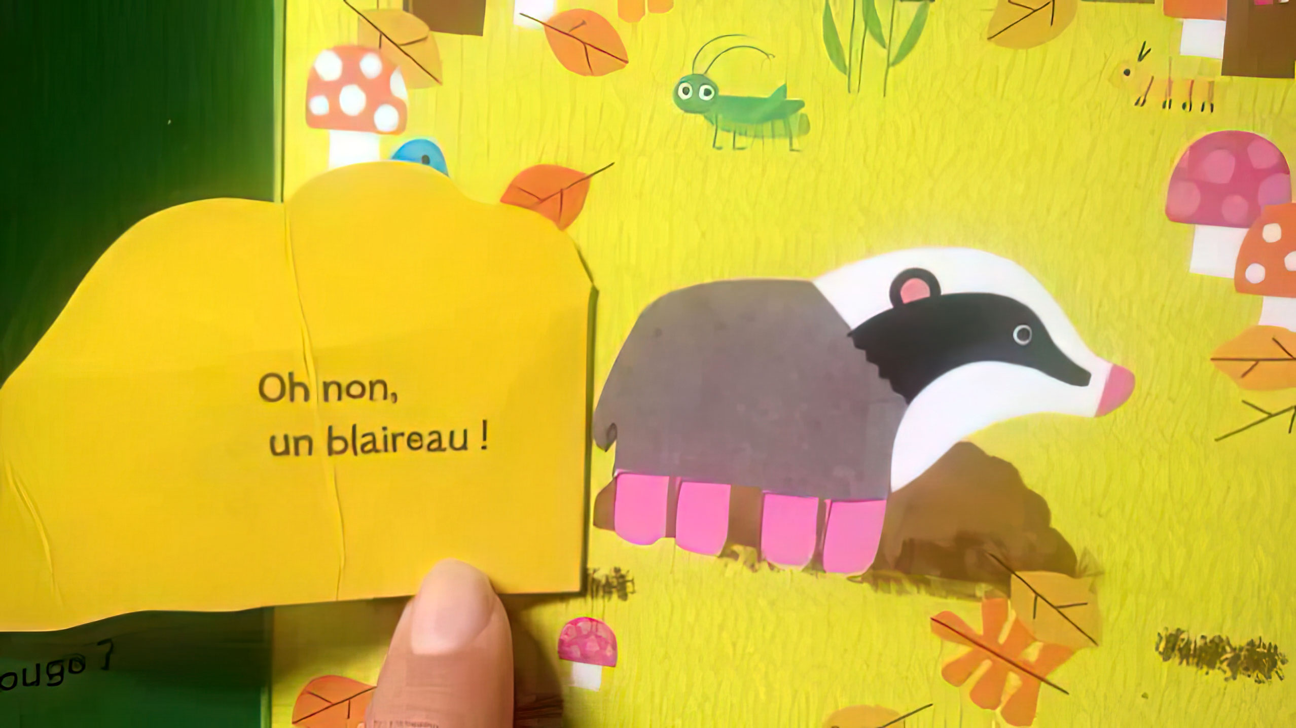 Oh non un blaireau
