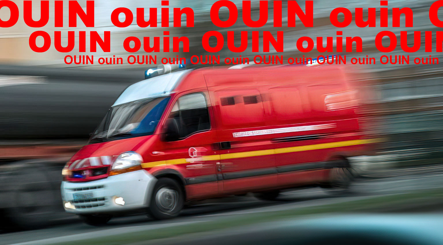 Ouin ouin ouin