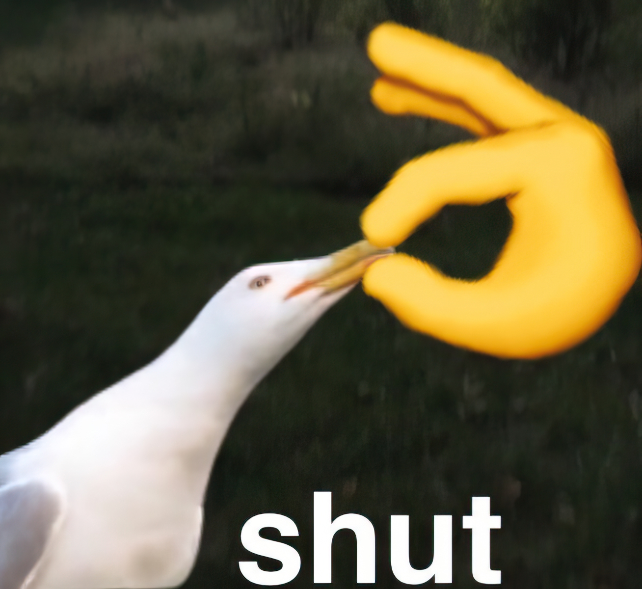 Shut