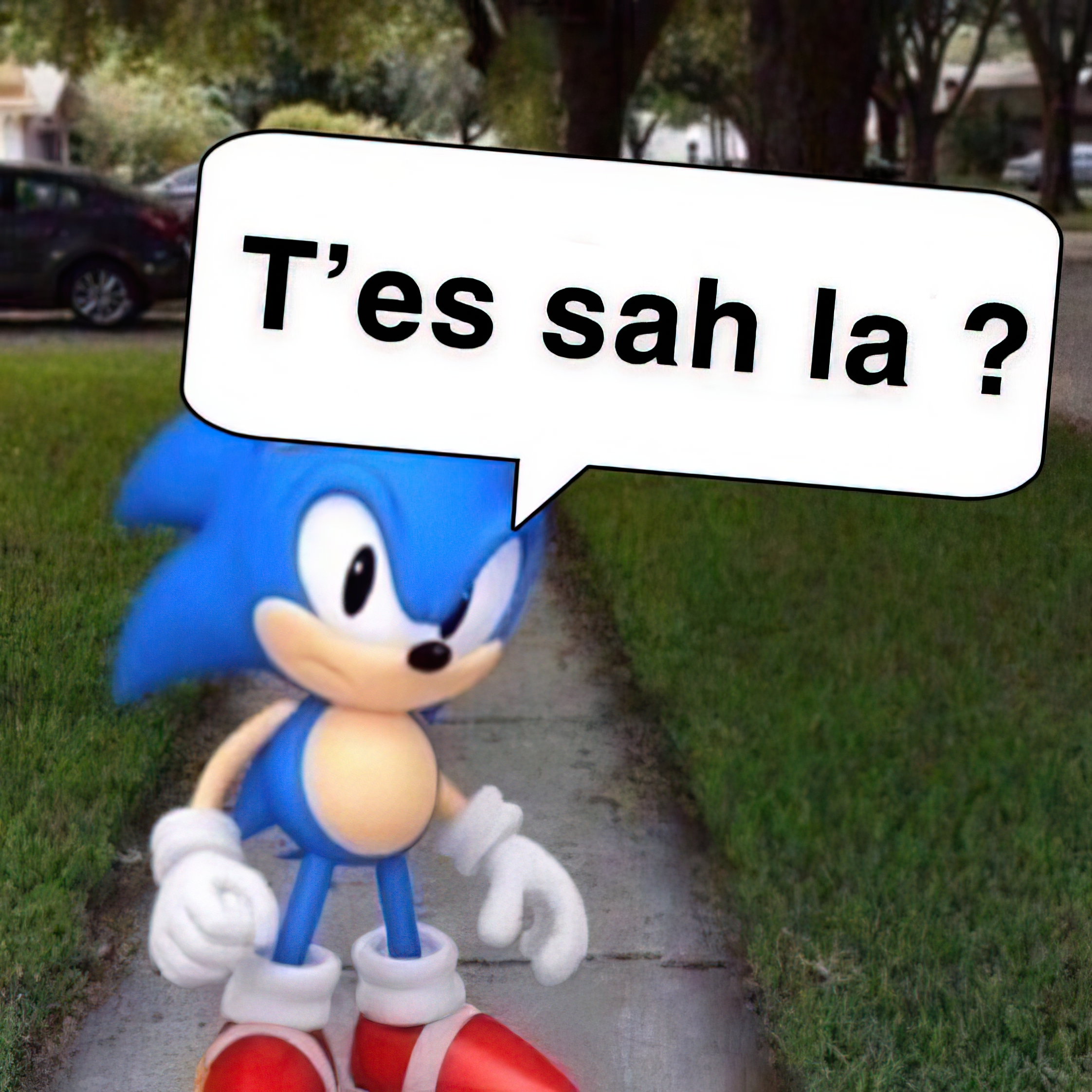 Sonic t'es sah là