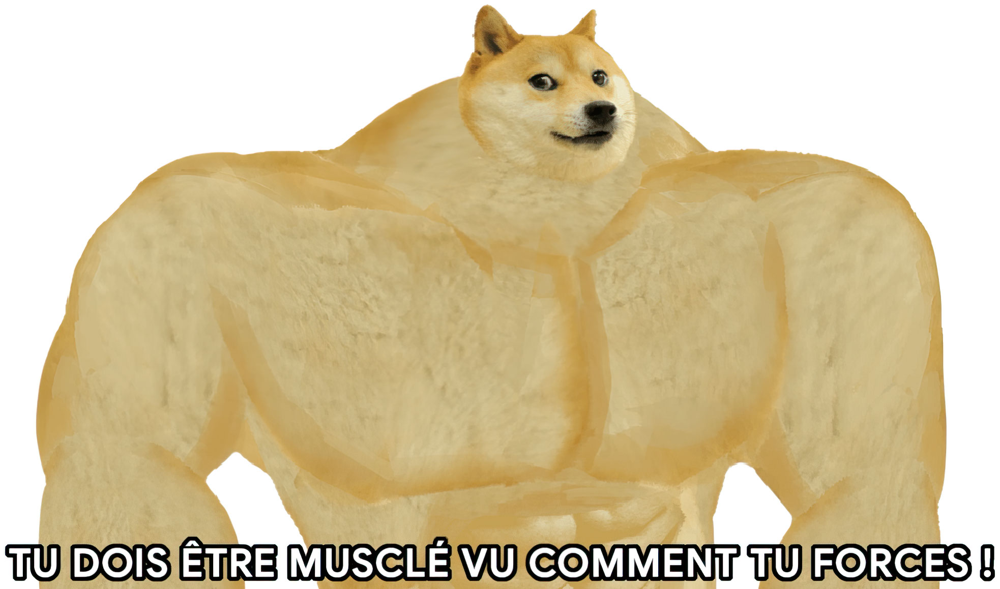 Tu dois être musclé vu comment tu forces