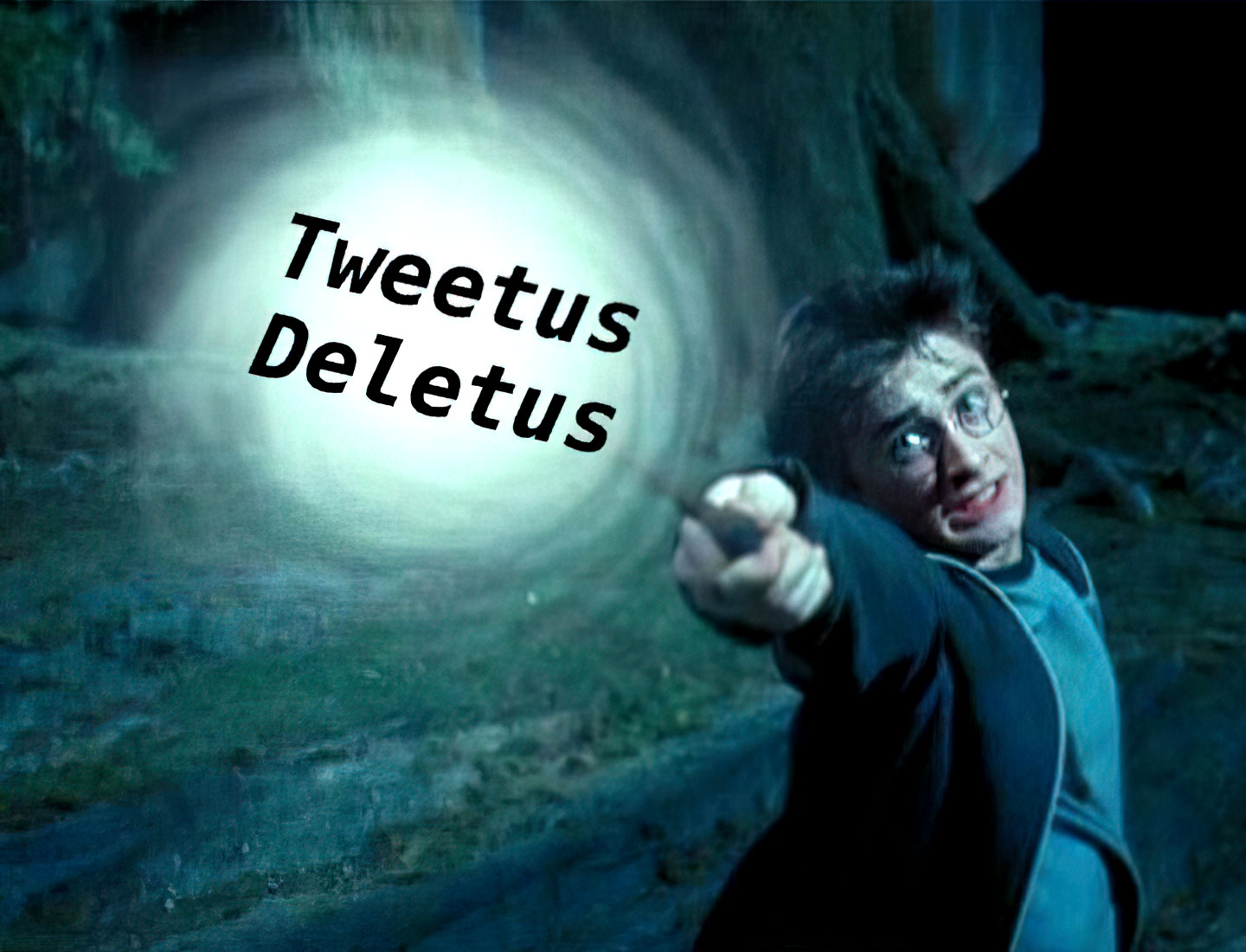 Tweetus deletus