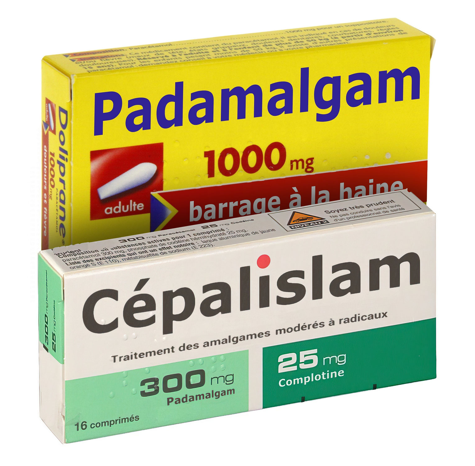 Padamalgam Cépalislam