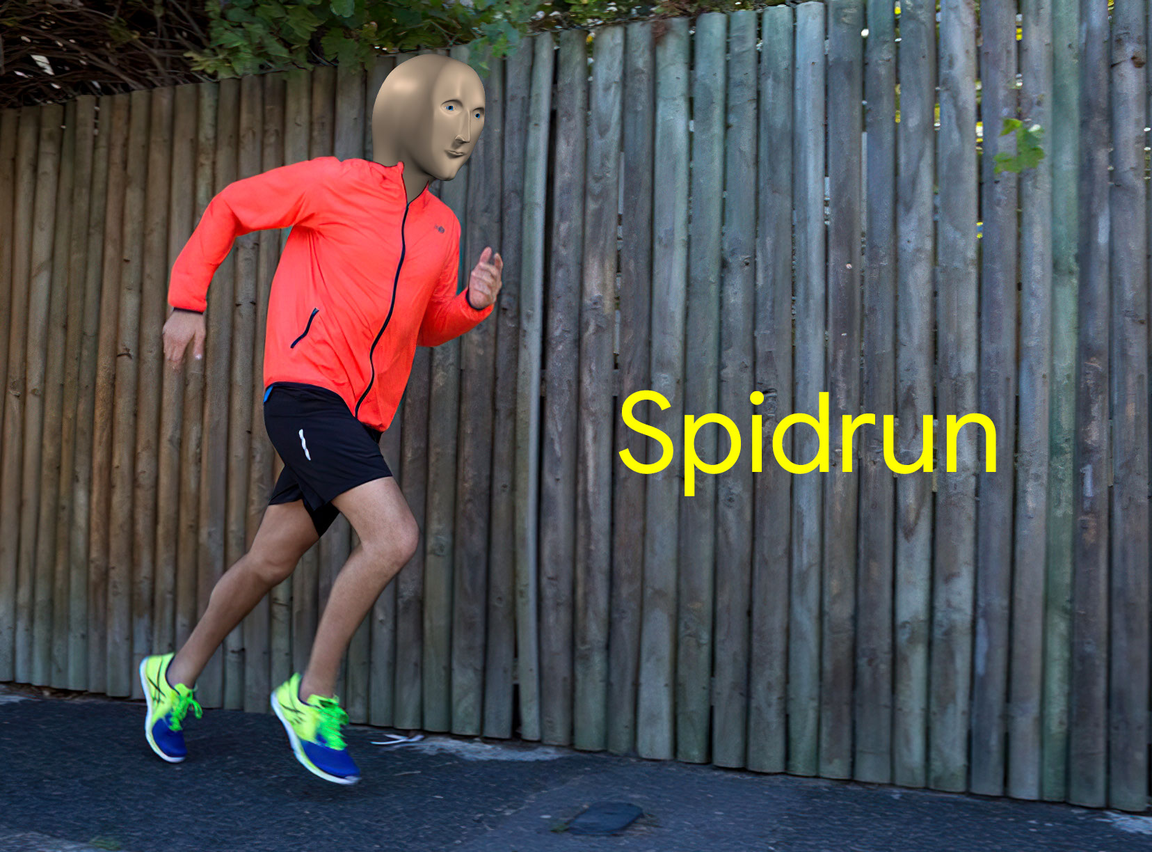 Spidrun