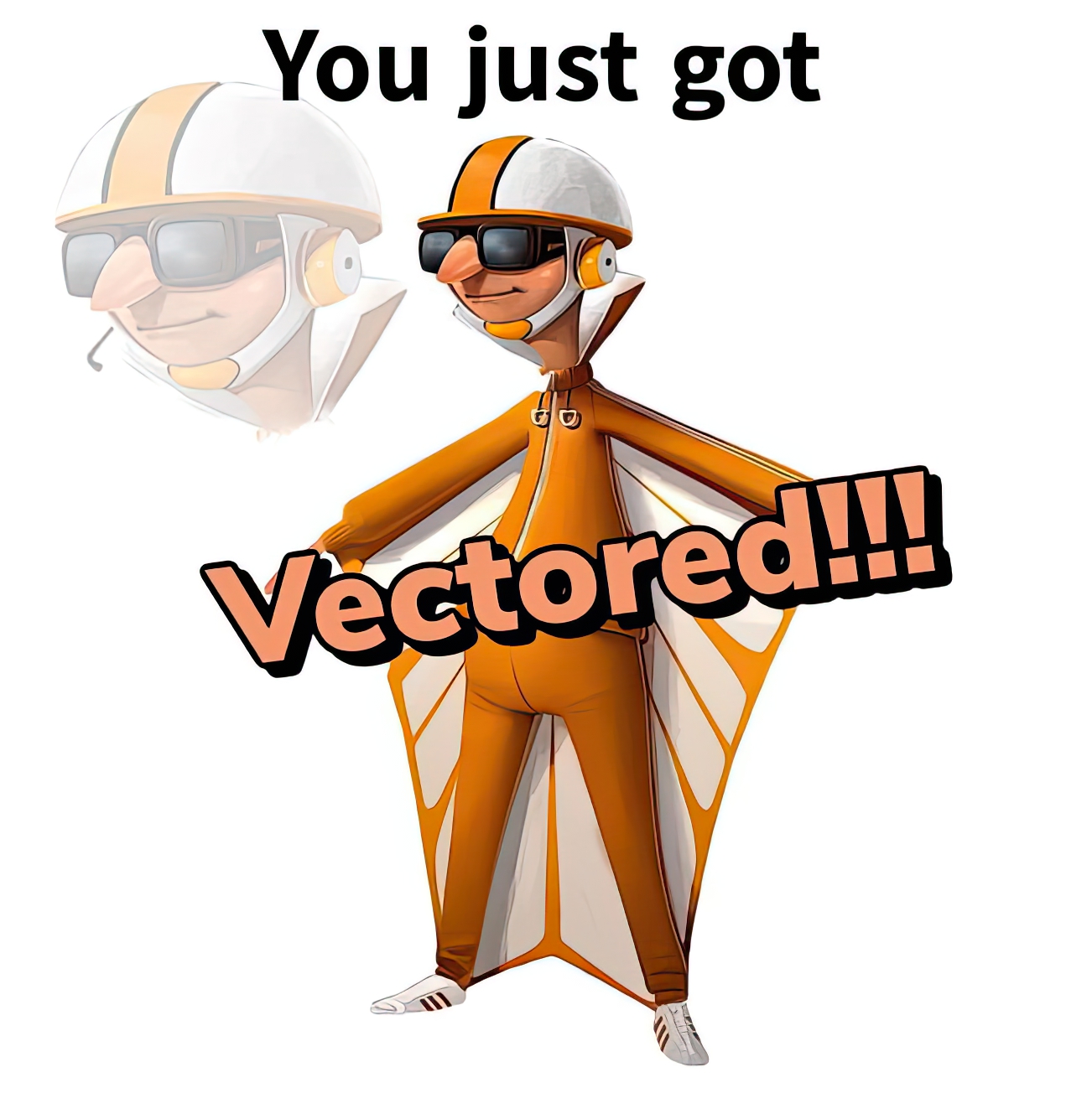 You just got vectored