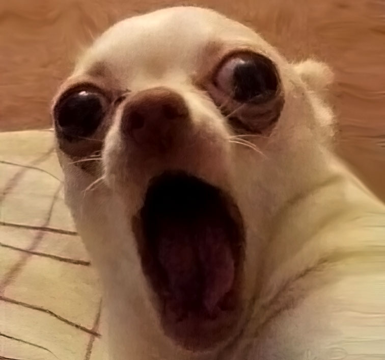 Chien 1
