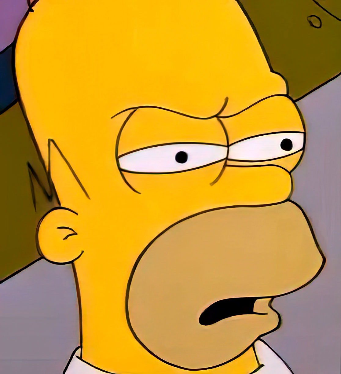 Homer 1