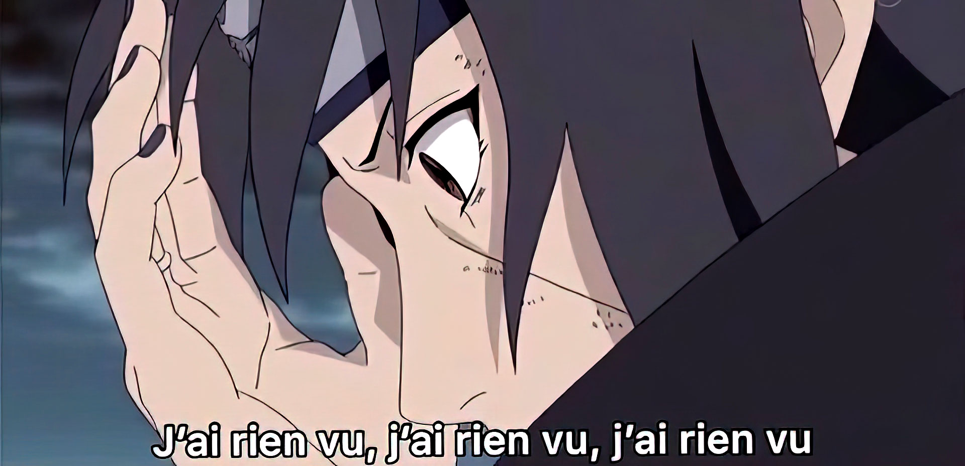 J'ai rien vu j'ai rien vu