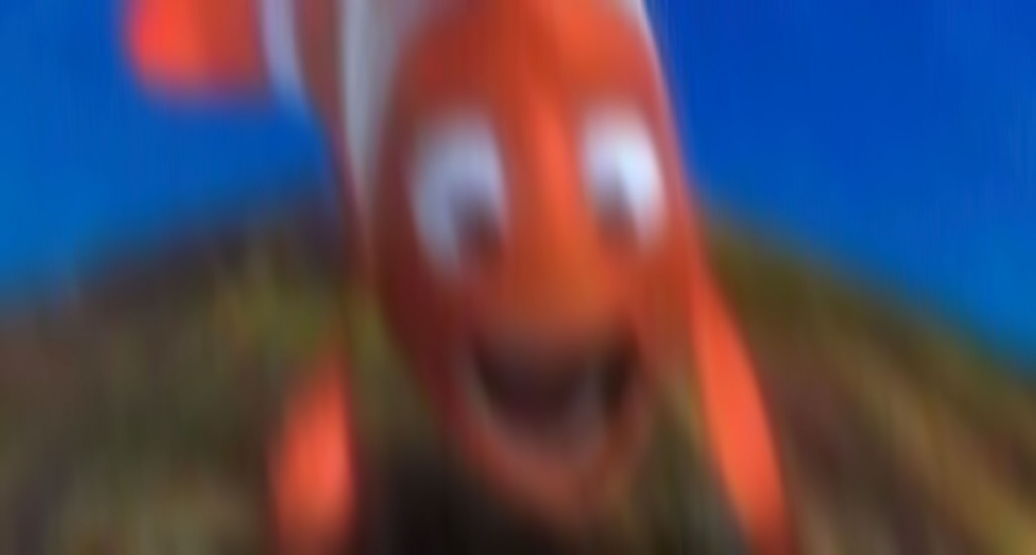 Nemo dad