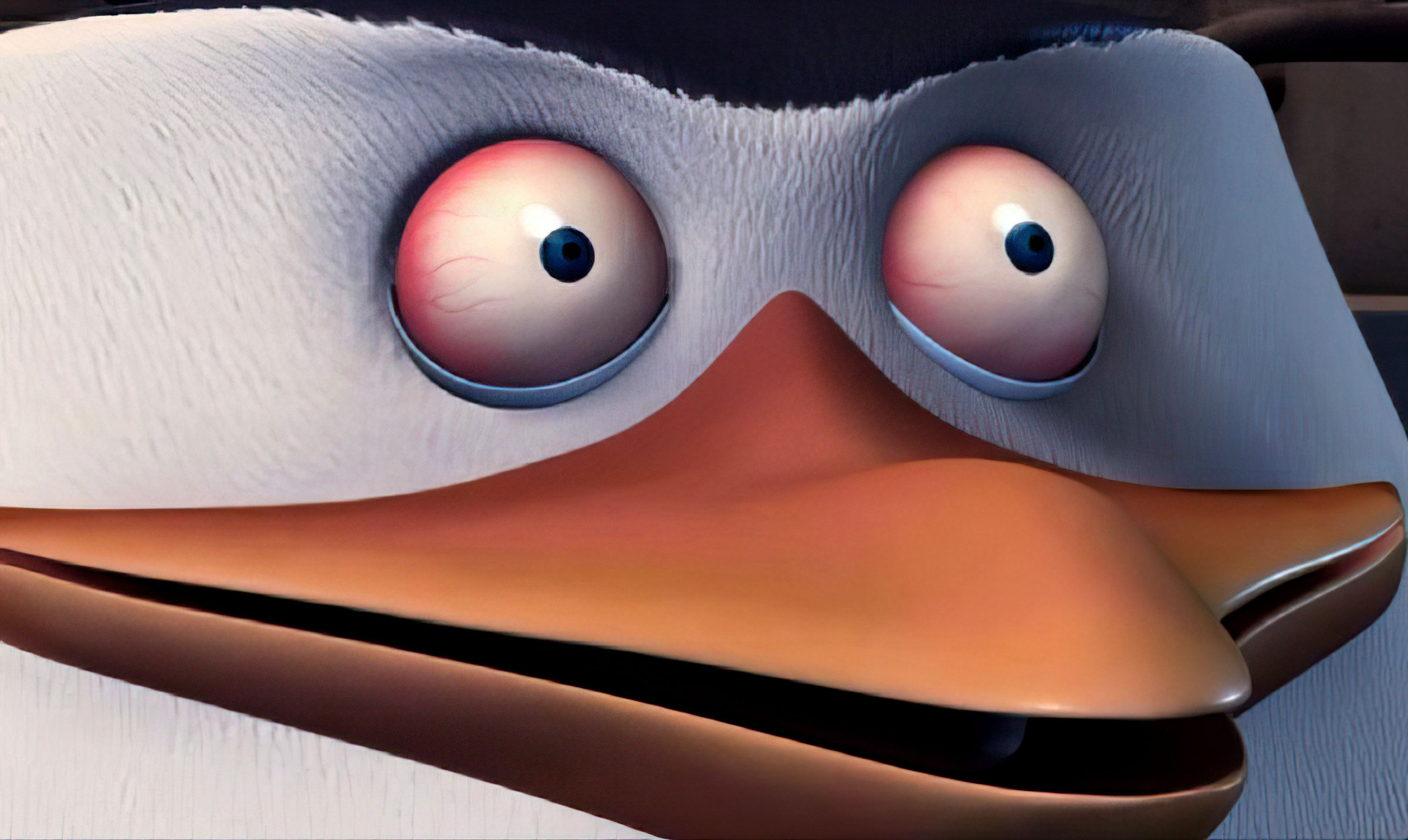 Skipper