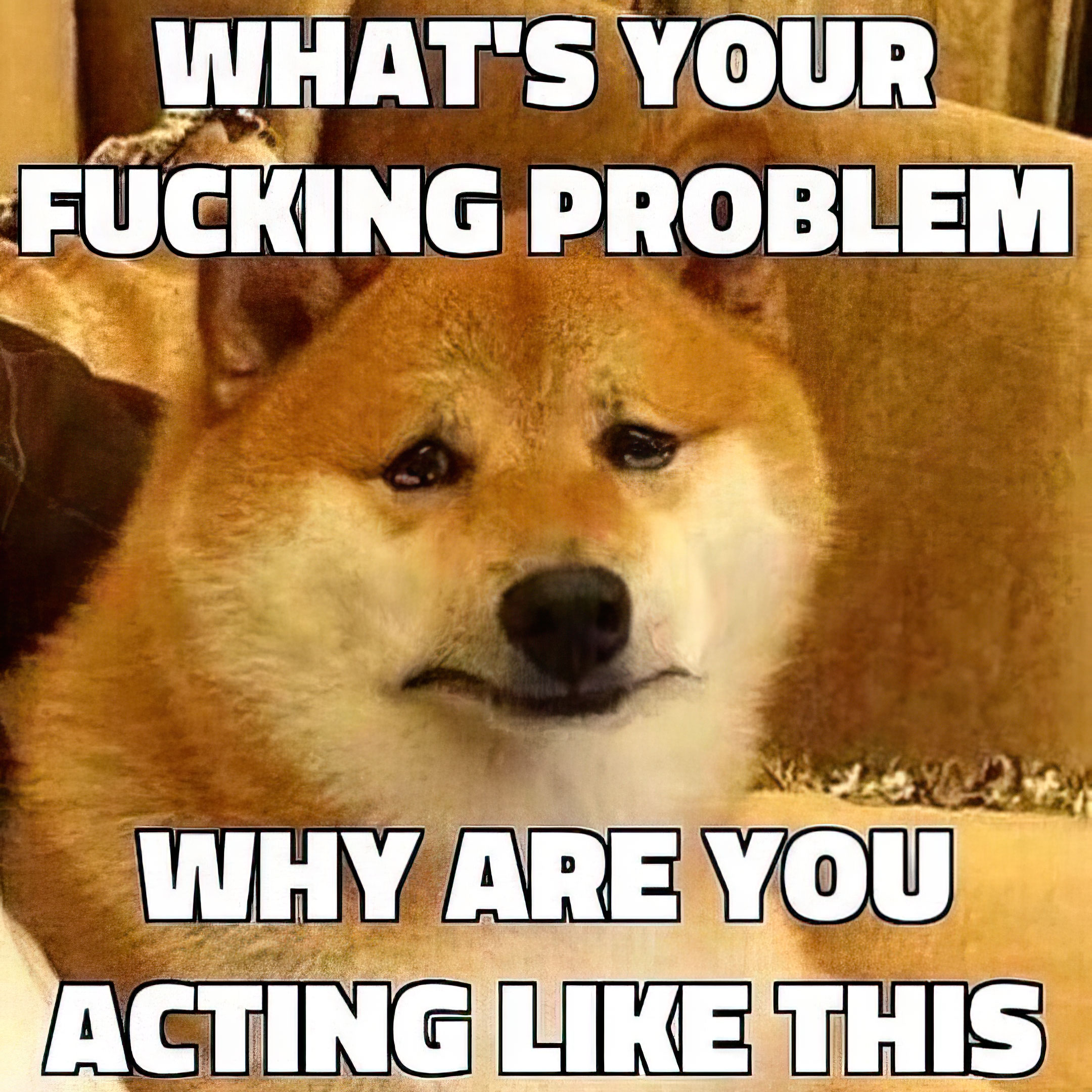 What's your fucking problem