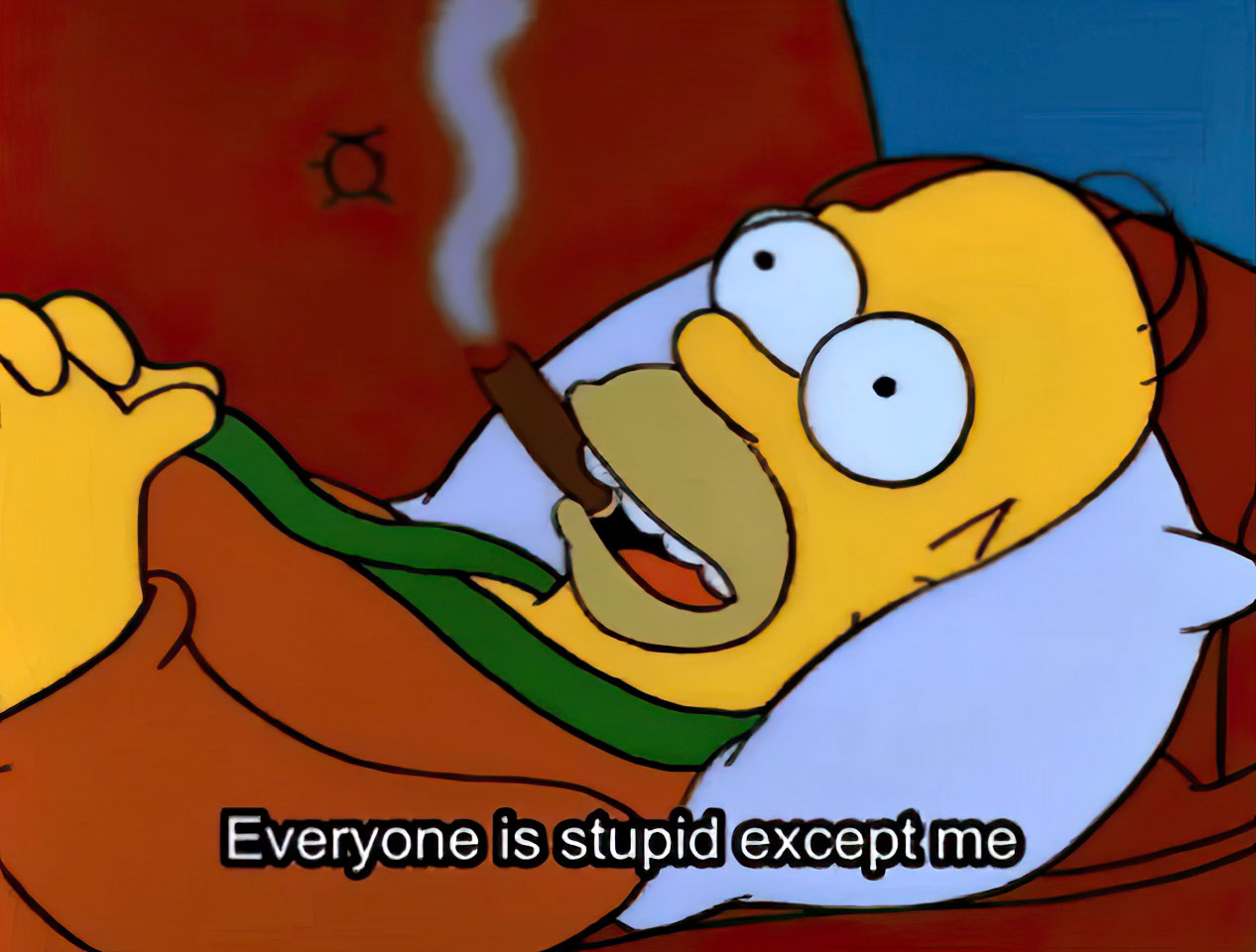 Everyone is stupid except me
