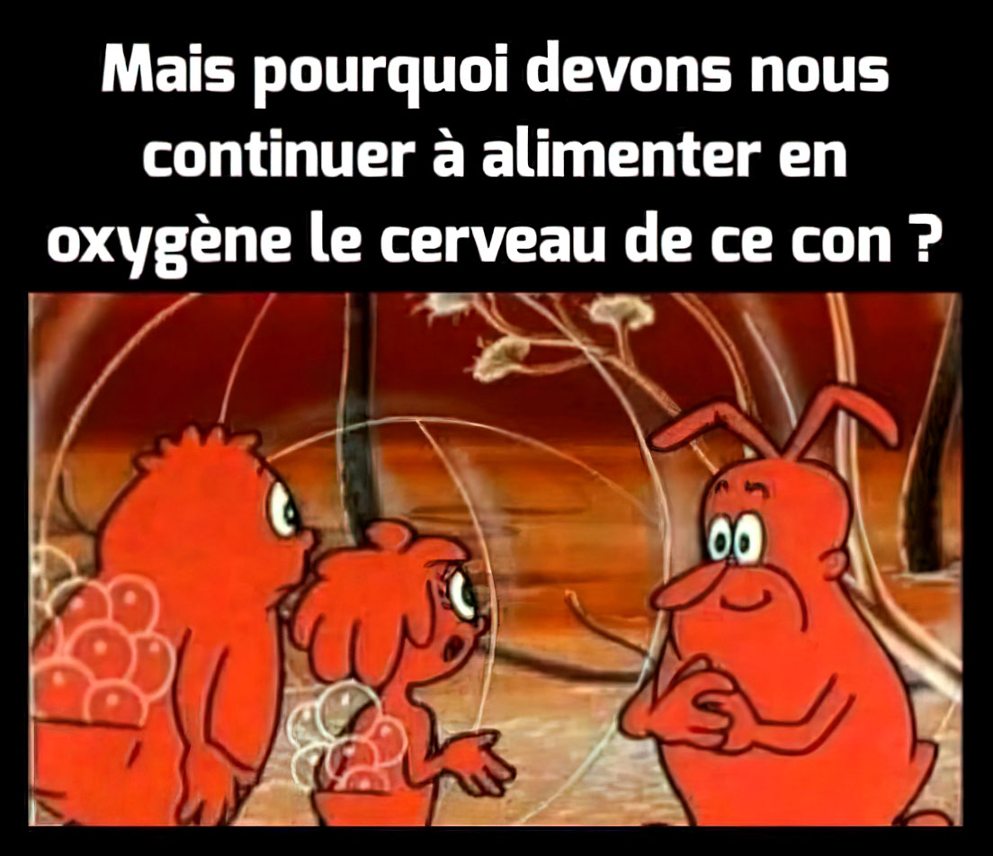 Mais pourquoi alimenter le cerveau de ce con