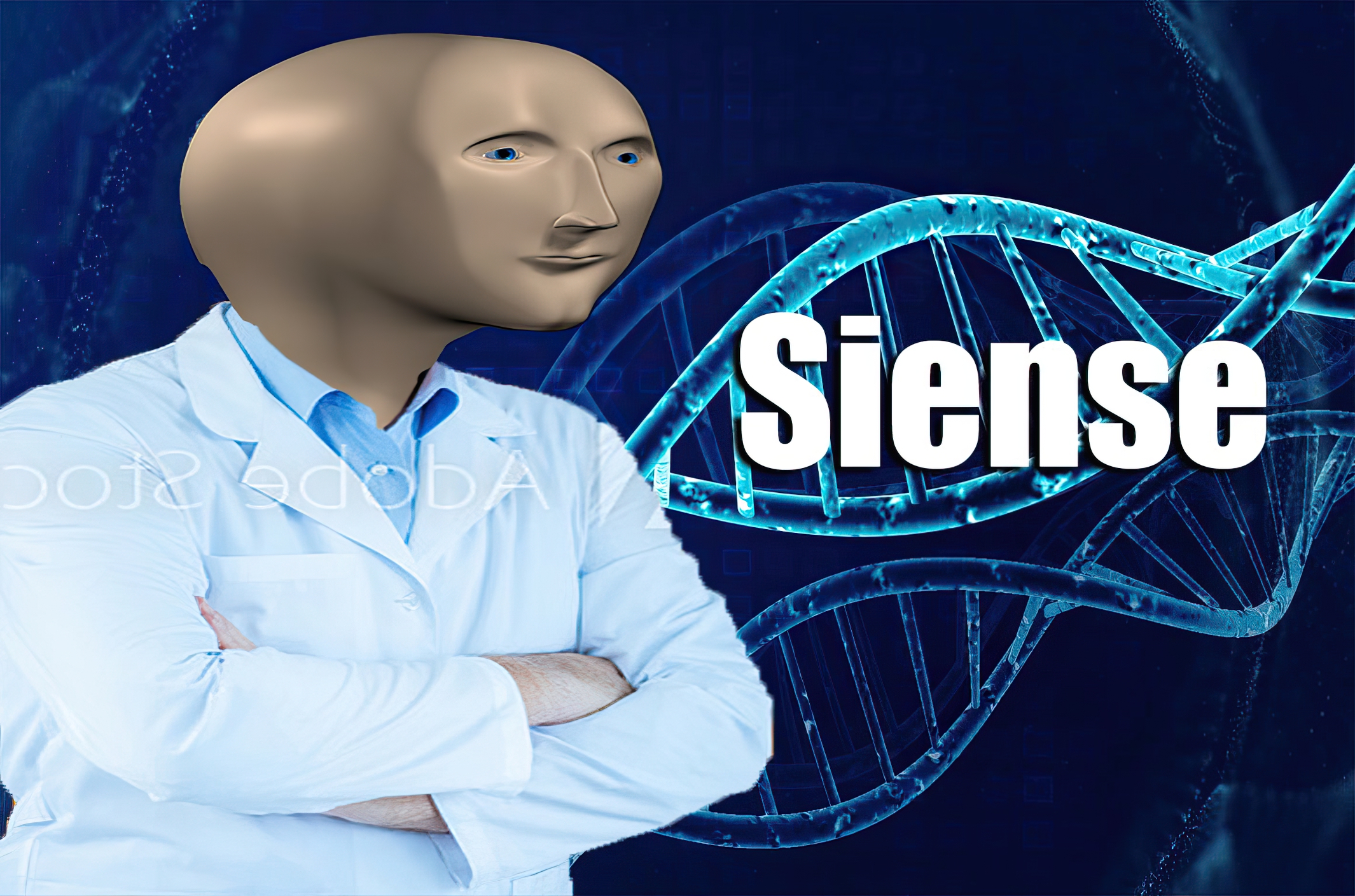 Siense