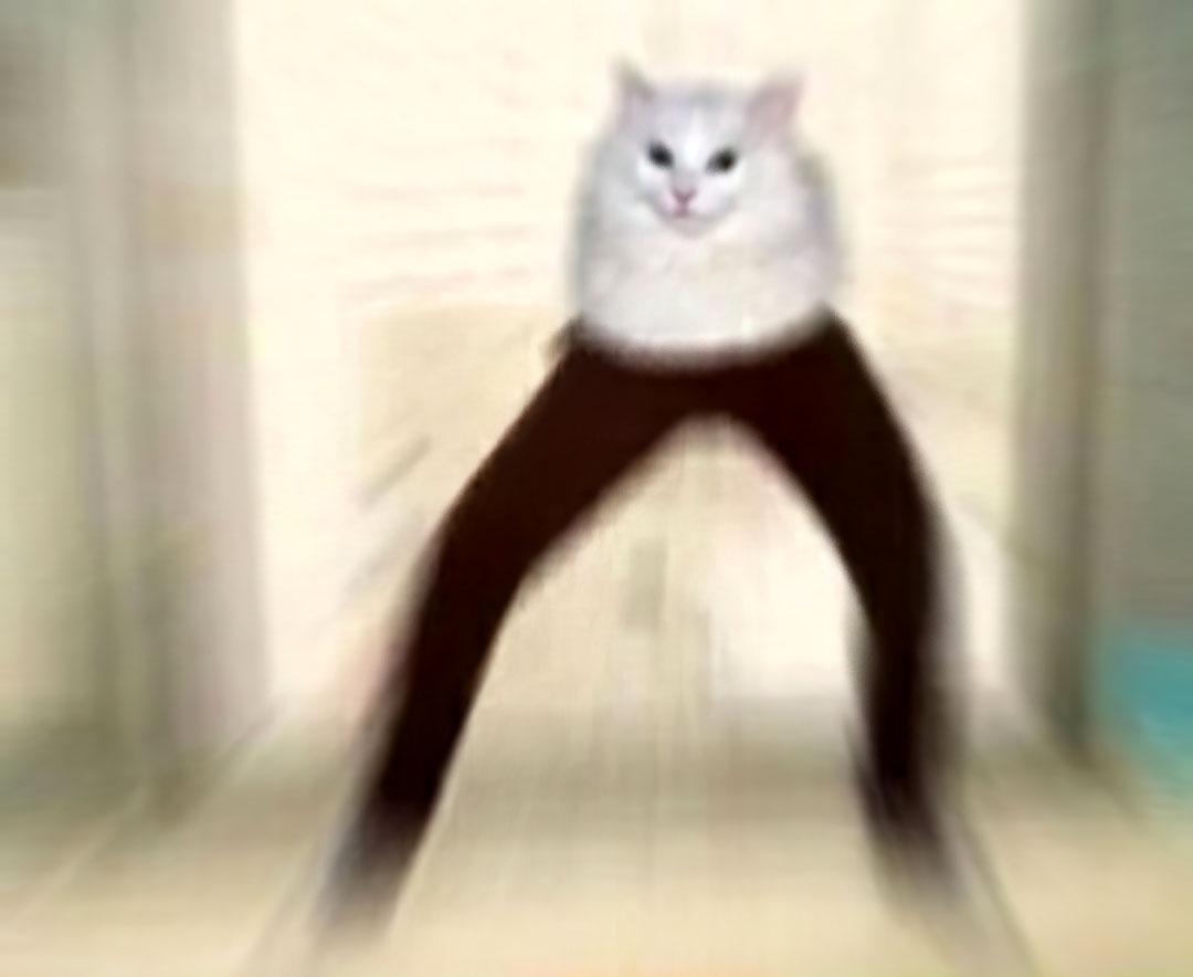 Sans nom 2