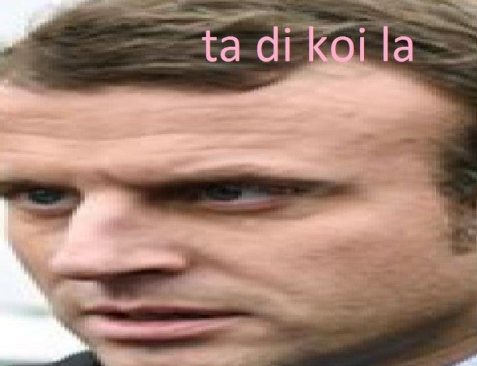 Ta di koi la