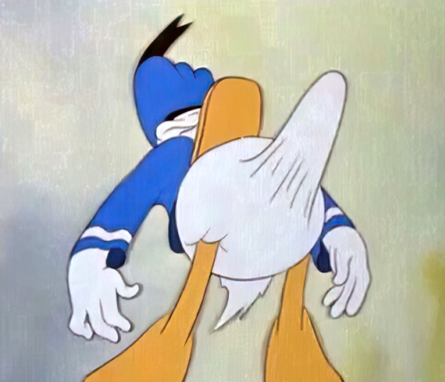 Donald 2