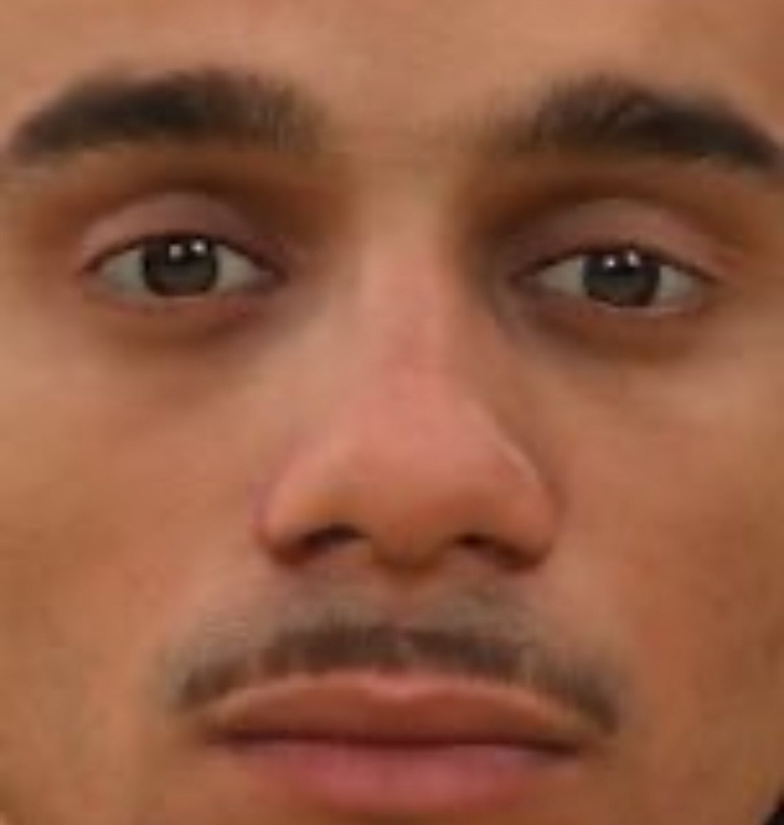 Mister V 2