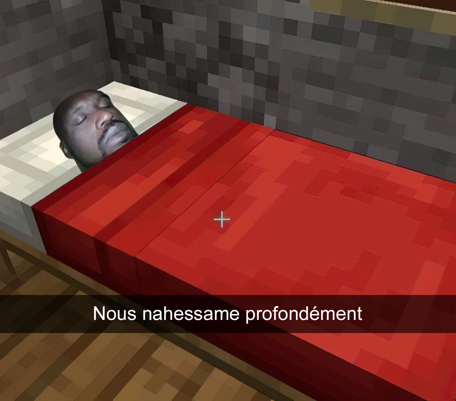 Nous nahessame profondément