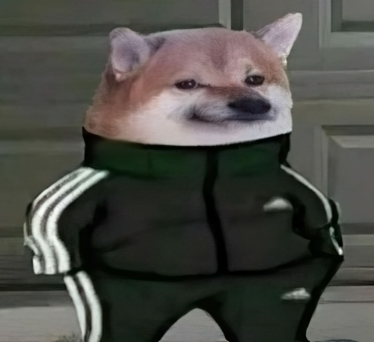 Sans nom 6