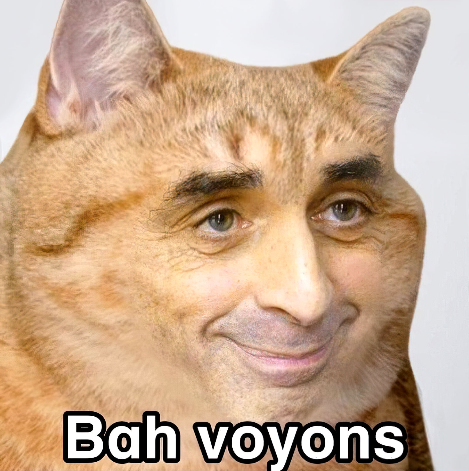 Bah voyons