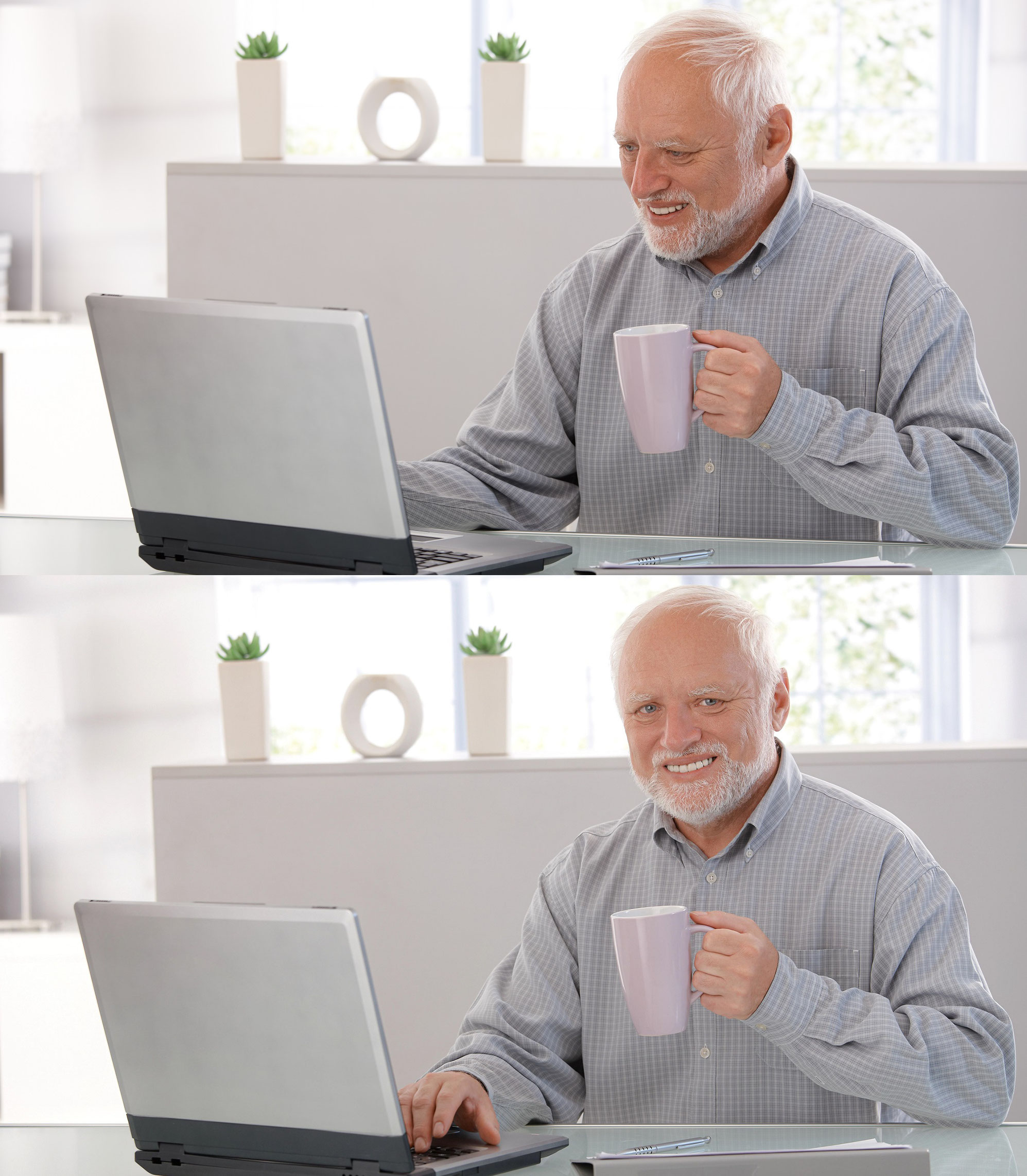 Harold 6